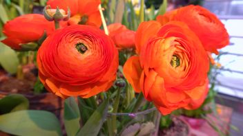 Навигатор. Новости. Выпуск 186