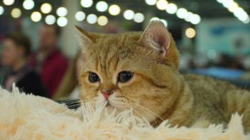 Навигатор. Новости. Выпуск 193