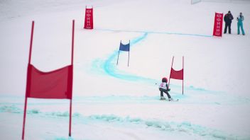 Навигатор. Новости. Выпуск 197