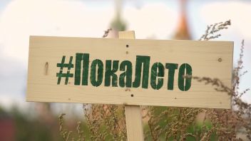 Навигатор. Новости. Выпуск 250