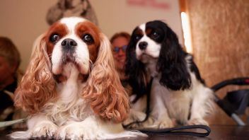 Навигатор. Новости. Выпуск 264