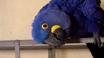 Навигатор. Новости. Выпуск 269