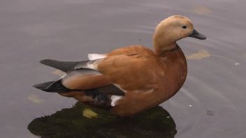 Навигатор. Новости. Выпуск 282