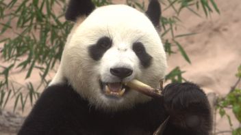 Навигатор. Новости. Выпуск 284