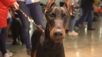 Навигатор. Новости. Выпуск 300