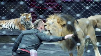 Навигатор. Новости. Выпуск 311