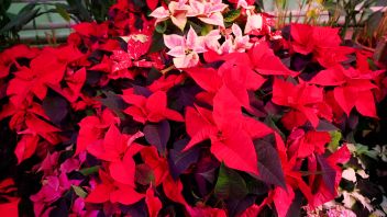 Навигатор. Новости. Выпуск 312