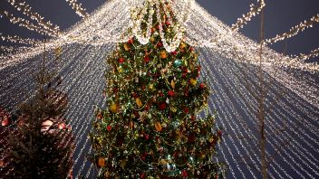 Навигатор. Новости. Выпуск 315