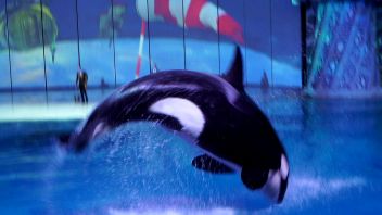 Навигатор. Новости. Выпуск 317