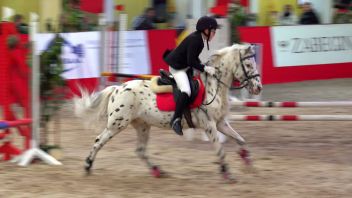 Навигатор. Новости. Выпуск 318