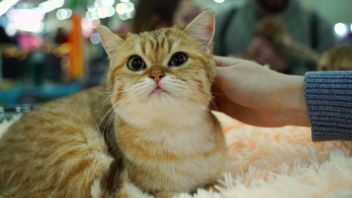 Навигатор. Новости. Выпуск 322