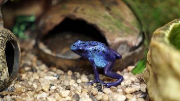 Навигатор. Новости. Выпуск 335