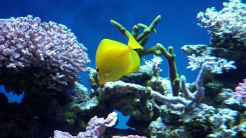 Навигатор. Новости. Выпуск 337