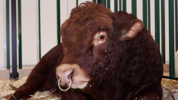 Навигатор. Новости. Выпуск 338