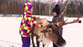 Навигатор. Новости. Выпуск 341