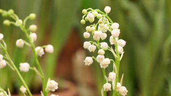 Навигатор. Новости. Выпуск 344