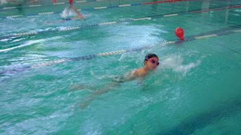 Навигатор. Новости. Выпуск 348