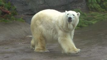 Навигатор. Новости. Выпуск 350