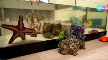 Навигатор. Новости. Выпуск 358