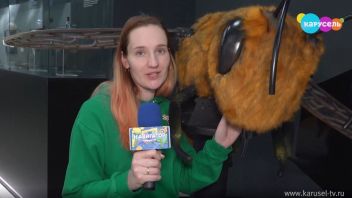 Навигатор. Новости. Выпуск 361