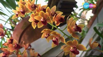 Навигатор. Новости. Выпуск 363