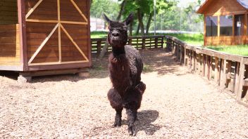 Навигатор. Новости. Выпуск 378