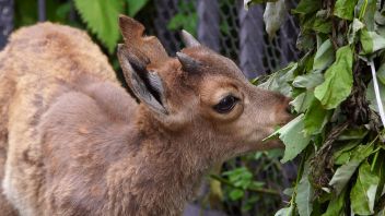 Навигатор. Новости. Выпуск 380