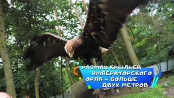 Навигатор. Новости. Выпуск 384