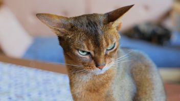 Навигатор. Новости. Выпуск 391