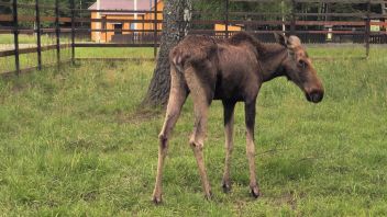 Навигатор. Новости. Выпуск 392