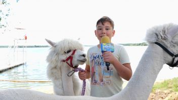 Навигатор. Новости. Выпуск 398