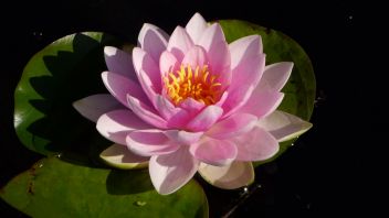 Навигатор. Новости. Выпуск 405