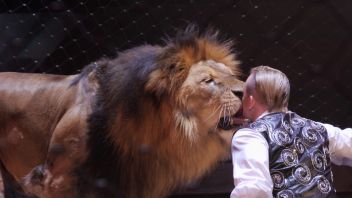 Навигатор. Новости. Выпуск 425