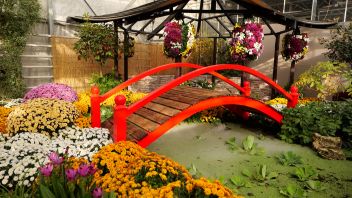 Навигатор. Новости. Выпуск 430