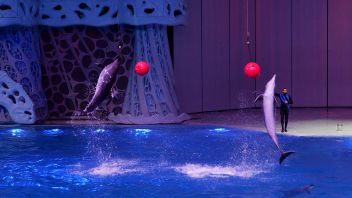 Навигатор. Новости. Выпуск 432