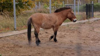 Навигатор. Новости. Выпуск 436