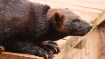 Навигатор. Новости. Выпуск 442