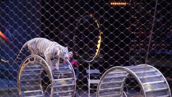 Навигатор. Новости. Выпуск 443