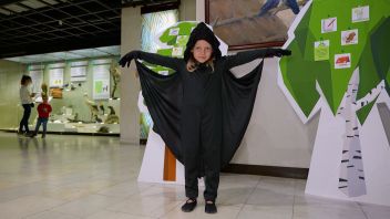 Навигатор. Новости. Выпуск 447