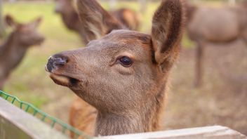 Навигатор. Новости. Выпуск 458