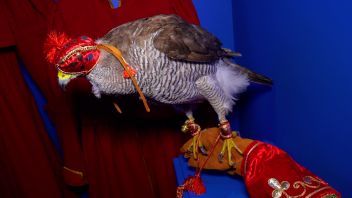 Навигатор. Новости. Выпуск 468