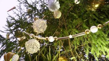 Навигатор. Новости. Выпуск 472