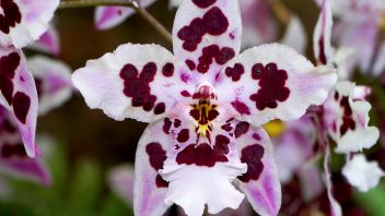 Навигатор. Новости. Выпуск 484