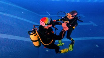 Навигатор. Новости. Выпуск 486