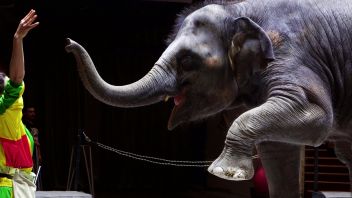 Навигатор. Новости. Выпуск 488