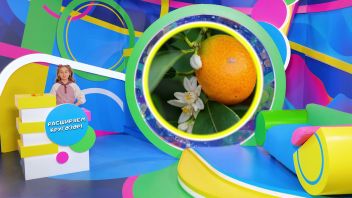 Навигатор. Новости. Выпуск 491