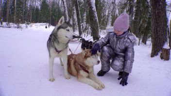 Навигатор. Новости. Выпуск 493