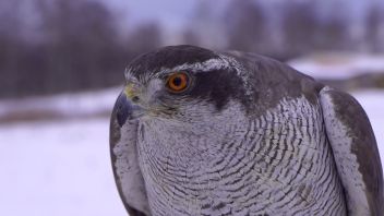 Навигатор. Новости. Выпуск 495