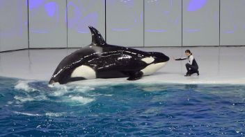 Навигатор. Новости. Выпуск 503