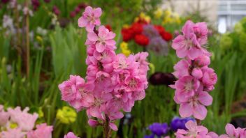 Навигатор. Новости. Выпуск 507